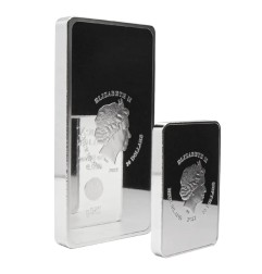 250g Coinbar | Argent | StoneX